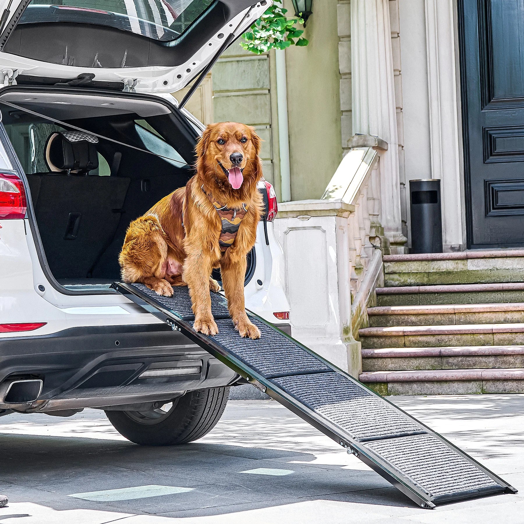 Dog Ramp for Car, 63" Folding Pet Ramp for Large Dogs up to 200 lb, 17" Wide Car Ramp for Dog, Portable Pet Stair Ramp with Nons