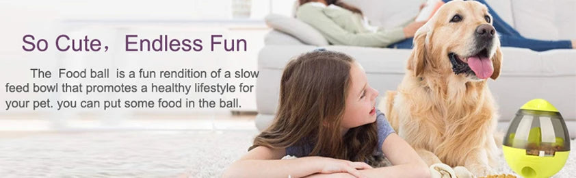 Interactive Cat Toy IQ Treat Ball Smarter Pet Toys Food Ball Food Dispenser For Cats Playing Training Balls Pet Supplies