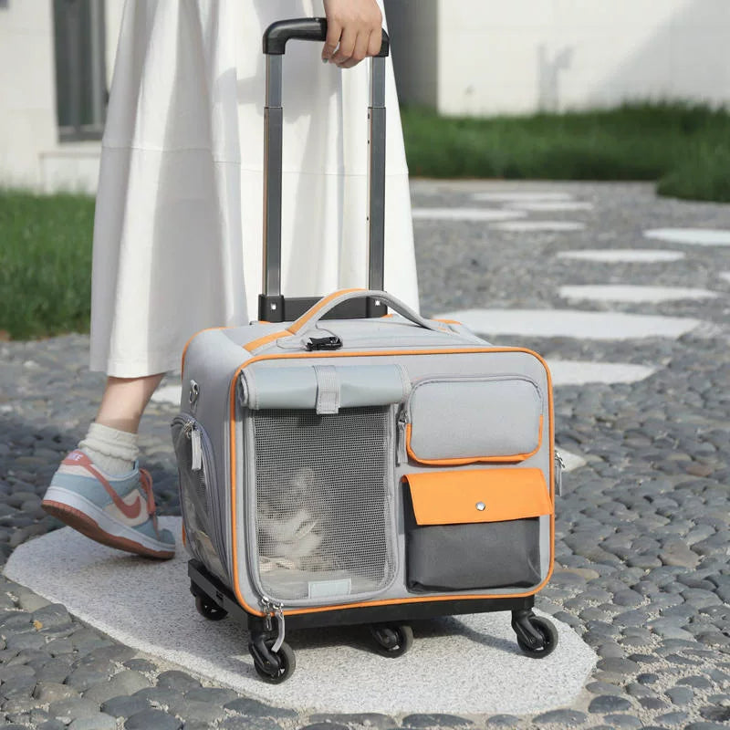 Cat Outing Carry Bag Pet Large Capacity Trolley Case Flight Case Simple Litter Box Cat Oversized Multi-Cat Stroller