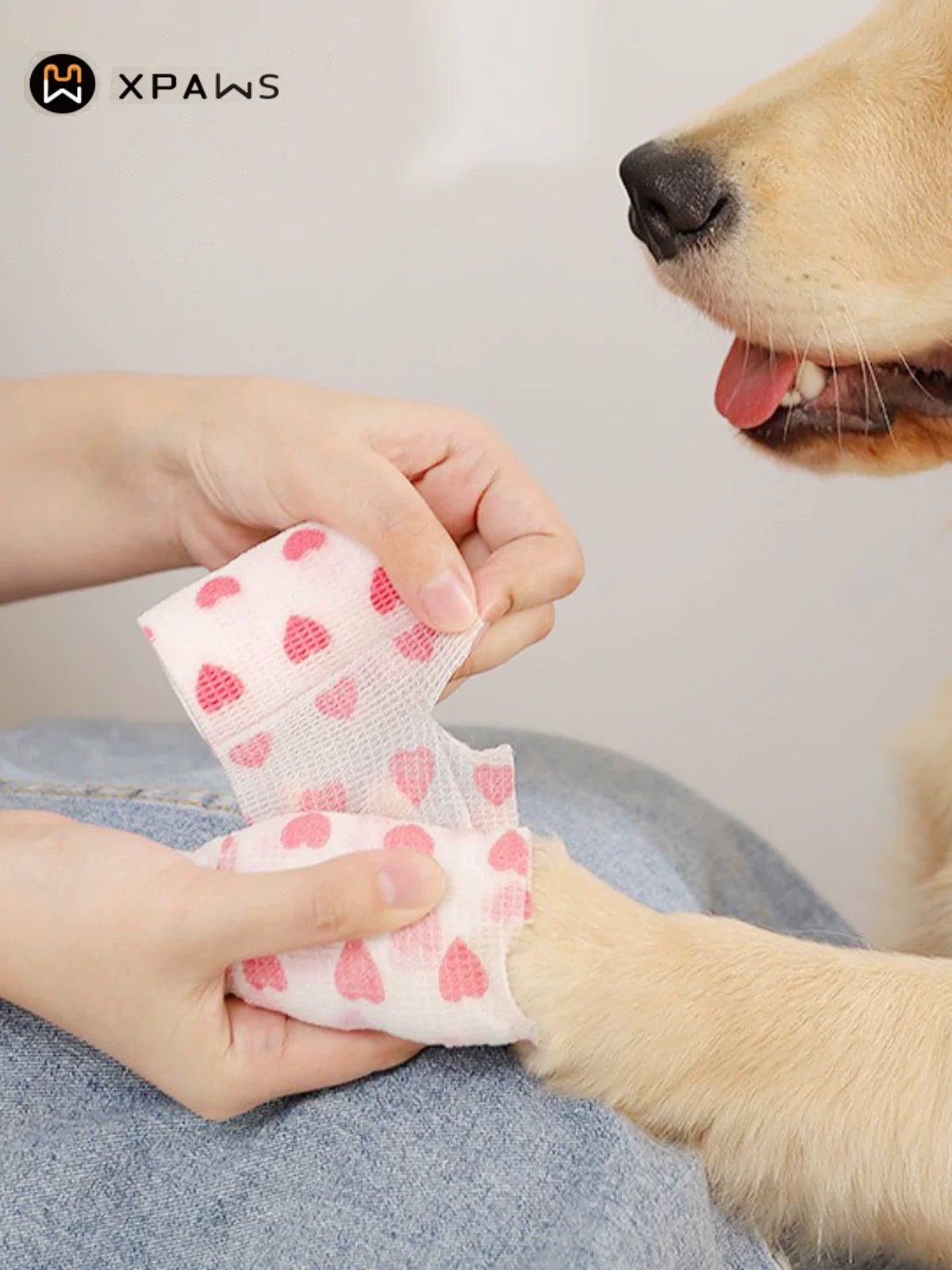 Xpaws Pet Wound Bandage Glue-Free Cat Wound Anti-Licking Self-Adhesive Gauze Elastic Breathable Bandage