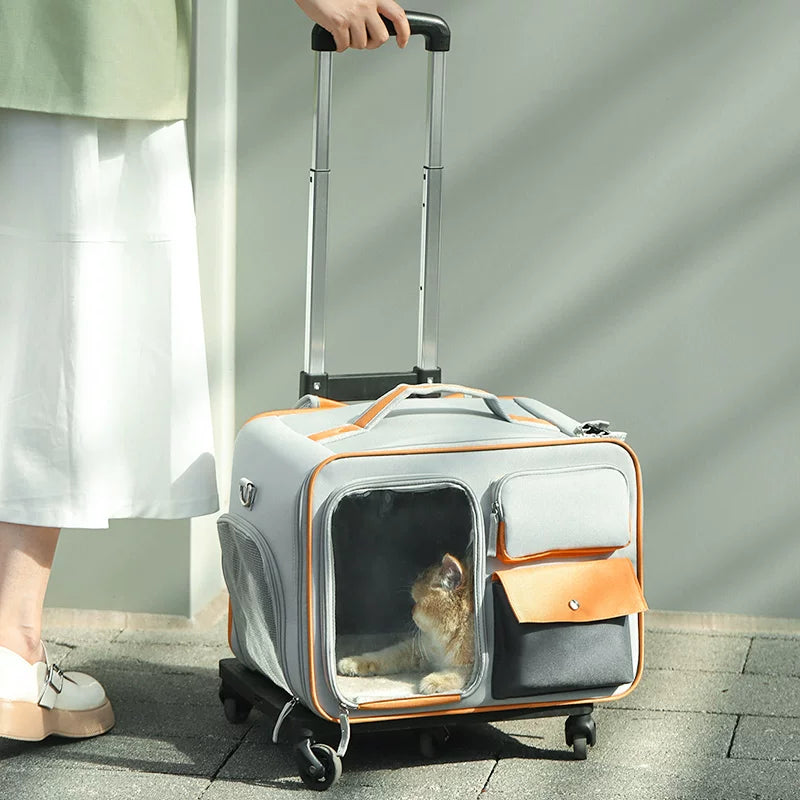 [Labor-Saving] Pet Trolley Bag Cat Bag Outdoor Portable Luggage Small Size Dogs Dog Anti-Stress Cat Backpack
