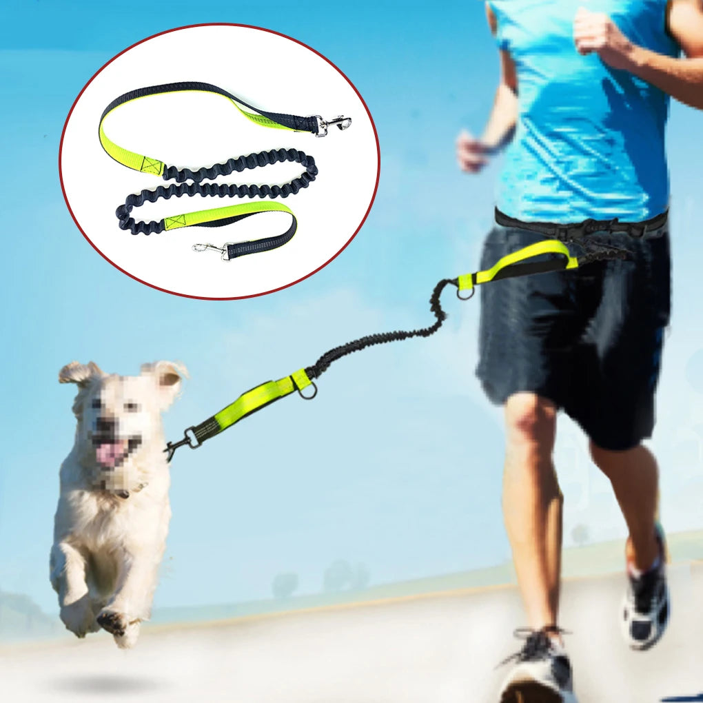 Dog Walking Leash Hands-free Jogging Traction Rope Reflective Leash