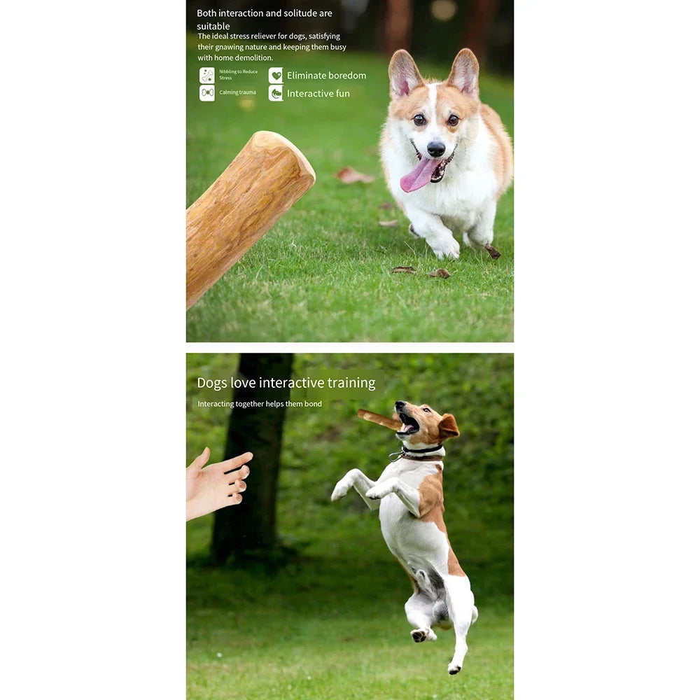 Natural Wood Dog Chew Toys