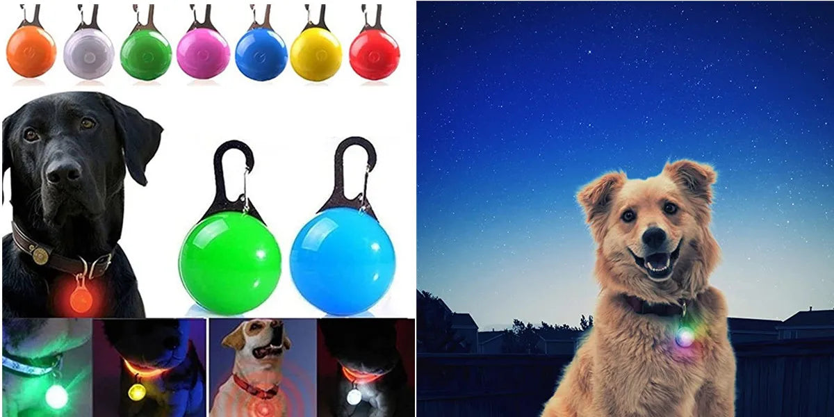 USB Rechargeable LED Glowing Collar for Pets