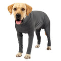 Grey Wide Application Dog Recovery Suit For Indoor And Outdoor Quick-drying Protection Easy To Wear Deep Grey L