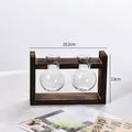 New Bayonet Light Bulb Vase Series Wooden Frame Hydroponic Plant Vase Container Basin Office Desktop Decoration Home Decoration