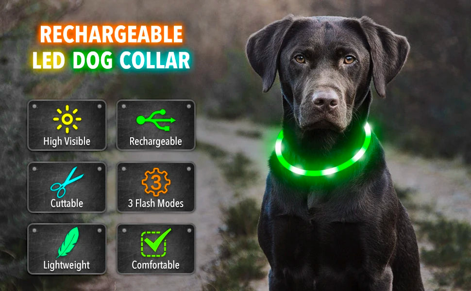 USB Rechargeable LED Glowing Collar for Pets