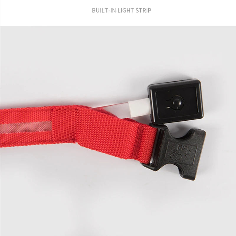 USB Rechargeable LED Glowing Collar for Pets