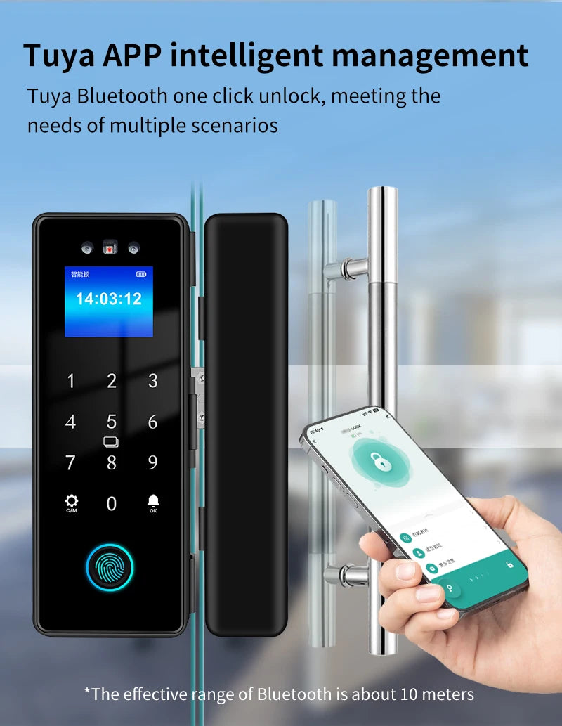 WIFI Tuya 3D Face Recognition  Smart Glass Lock Biometric Electronic Fingerprint Unlock Glass Door Lock Mobile remote Control