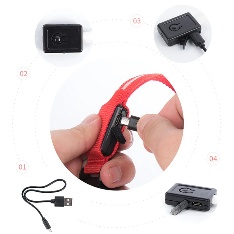 USB Rechargeable LED Glowing Collar for Pets