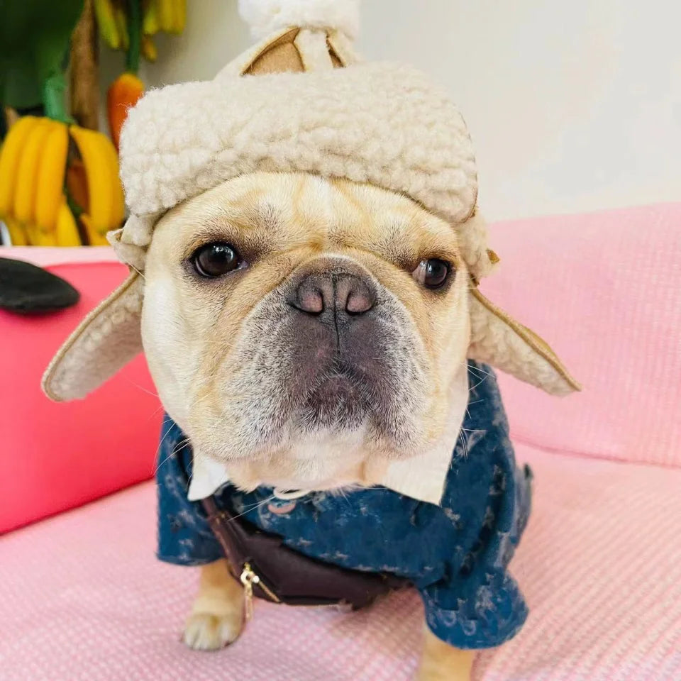 NONOR Pet Warm Hat Ear-popping Funny thickened adjustable Dog hat for Corgi Tedi French Bulldog Accessory Cat And Dog Headdress