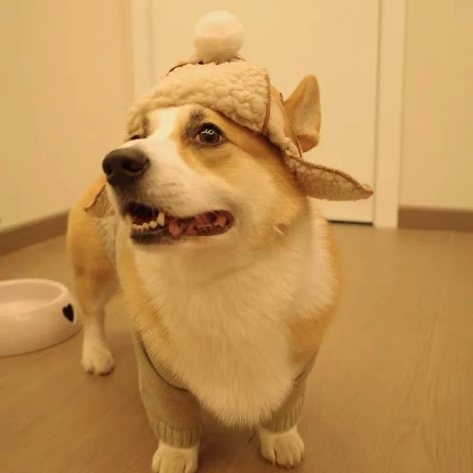 NONOR Pet Warm Hat Ear-popping Funny thickened adjustable Dog hat for Corgi Tedi French Bulldog Accessory Cat And Dog Headdress