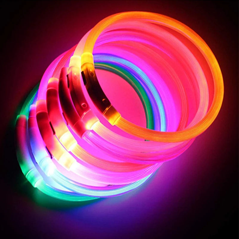 USB Rechargeable LED Glowing Collar for Pets