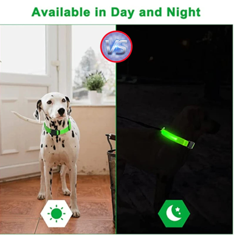 USB Rechargeable LED Glowing Collar for Pets