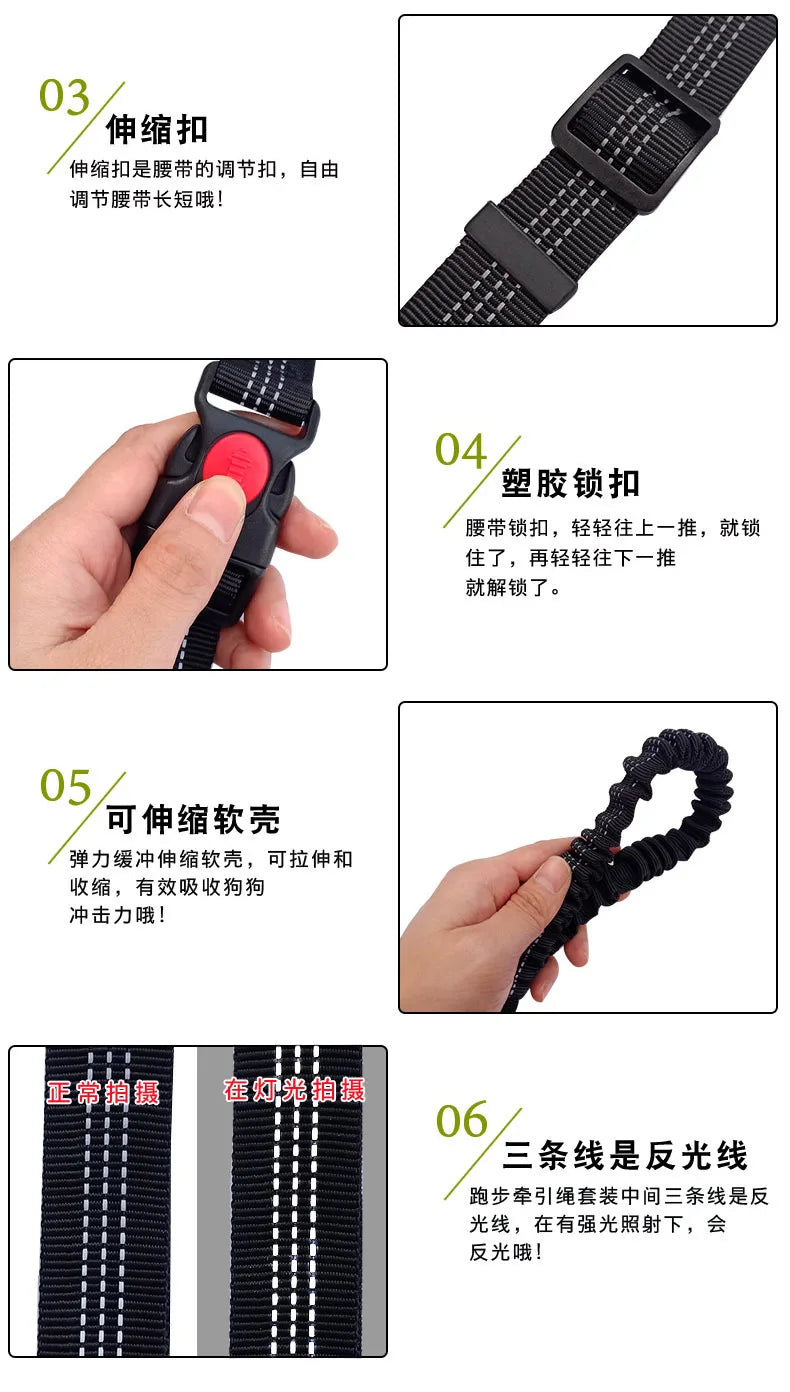 Hands-Free Dog Leash with Waist and Chest Straps
