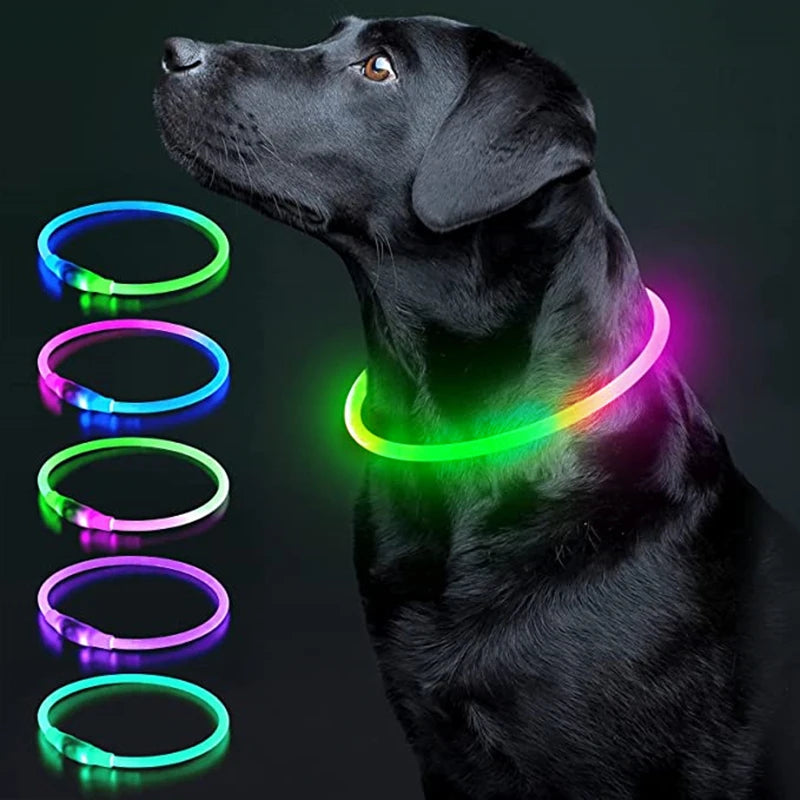 USB Rechargeable LED Glowing Collar for Pets