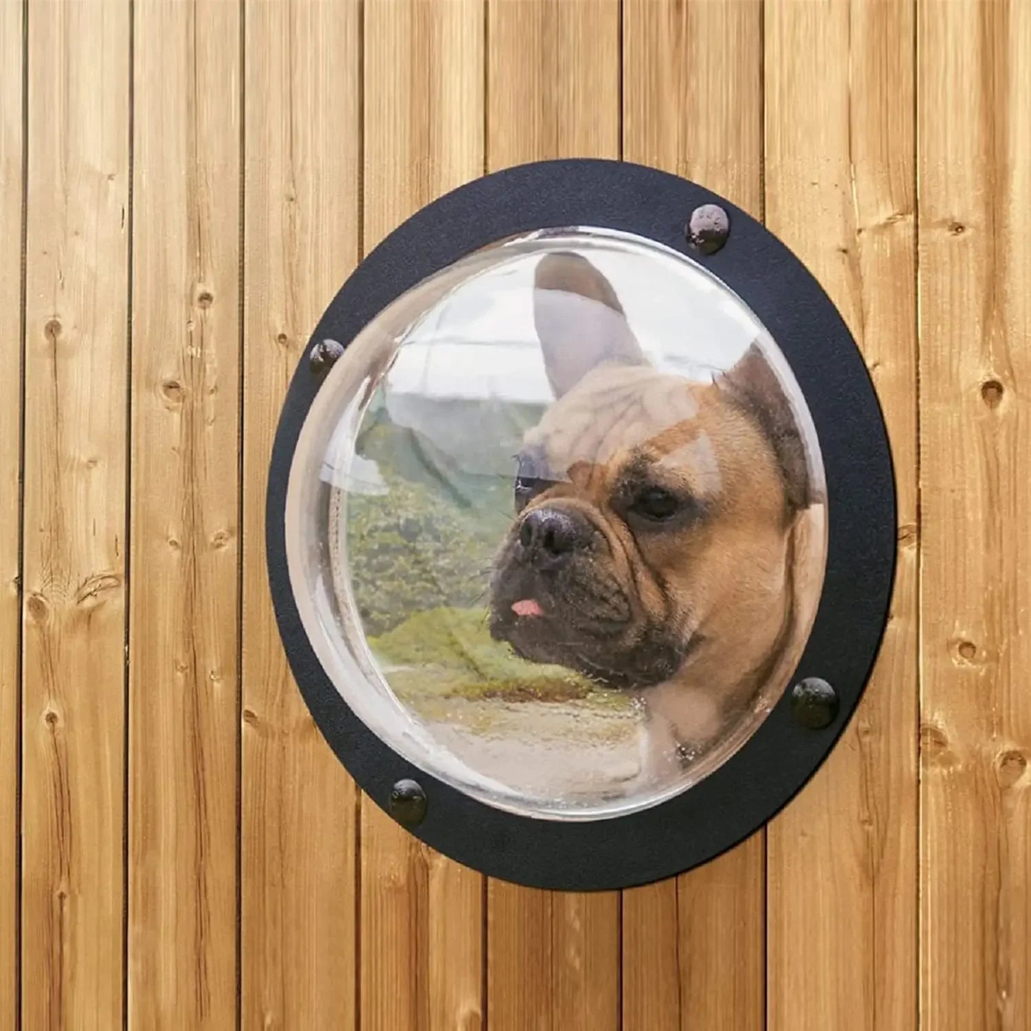 Acrylic Dog Window Semicircular Cover Pet Fence Window Cat and Dog Special Window Transparent Plastic Viewing Doors and Windows