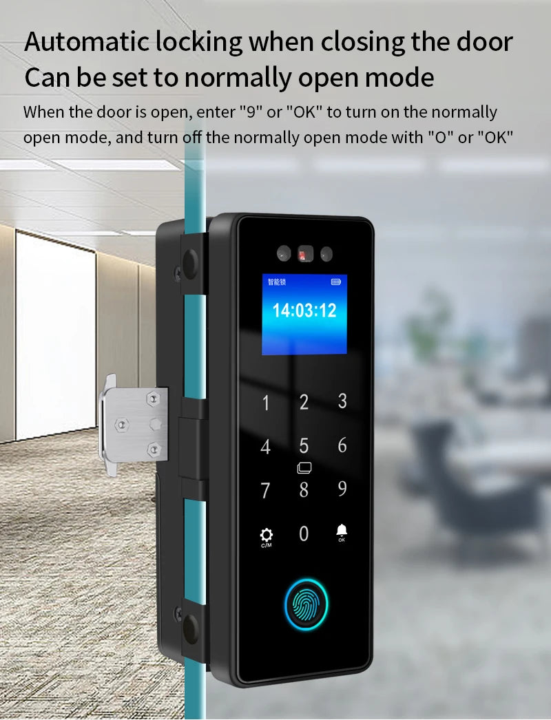 WIFI Tuya 3D Face Recognition  Smart Glass Lock Biometric Electronic Fingerprint Unlock Glass Door Lock Mobile remote Control