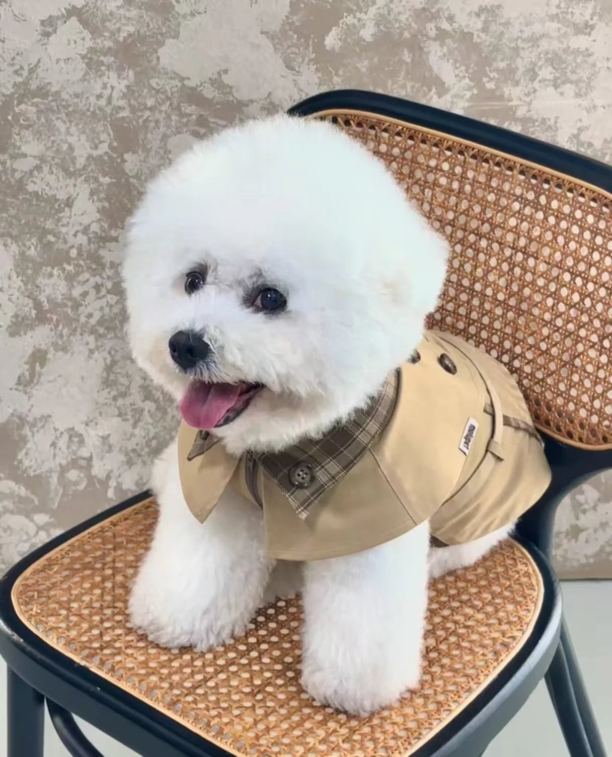 British Style Dog Coat Durable Pet Outerwear Brown Plaid with Adjustable Straps for Cold Weather Puppy Kitten Small Dog Cape