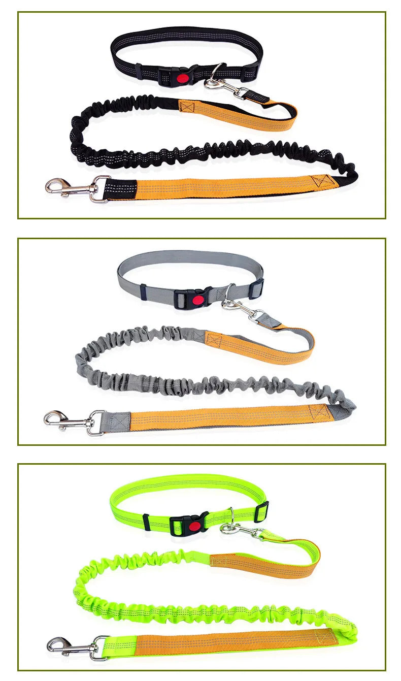 Hands-Free Dog Leash with Waist and Chest Straps