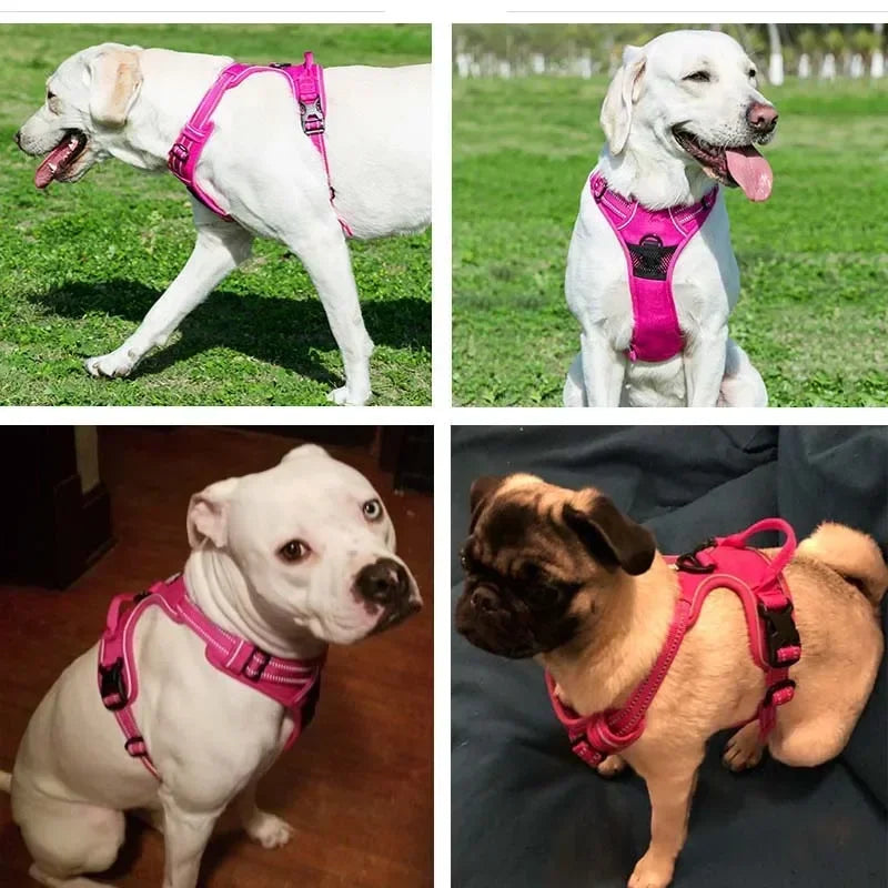 No Pull Dog Harness