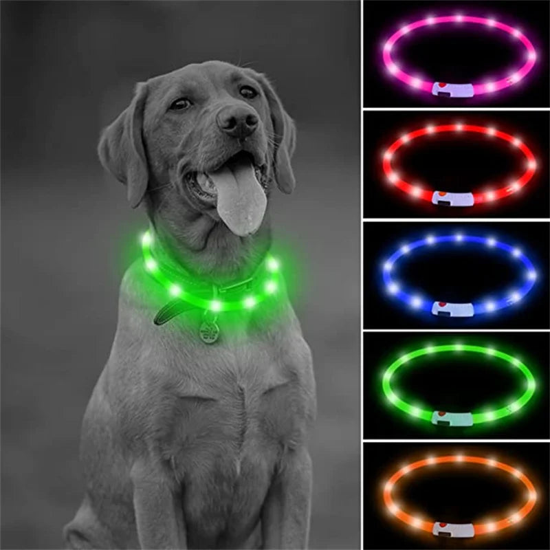 USB Rechargeable LED Glowing Collar for Pets