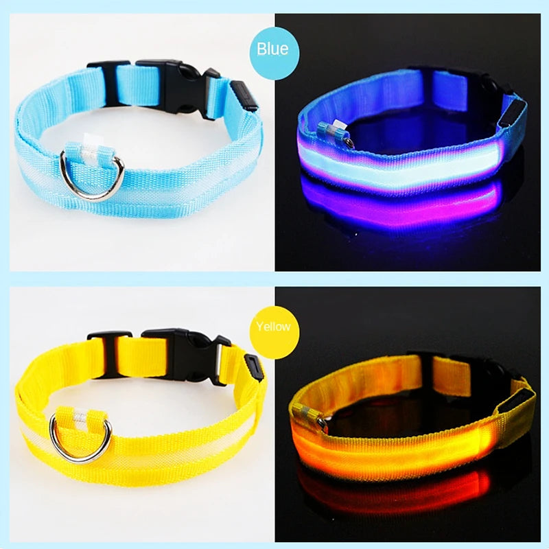 USB Rechargeable LED Glowing Collar for Pets