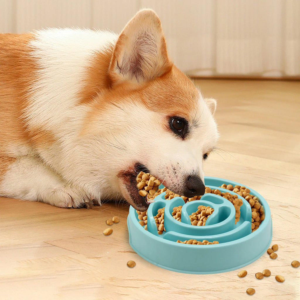 Slow Feed Anti Slip Pet Bowl