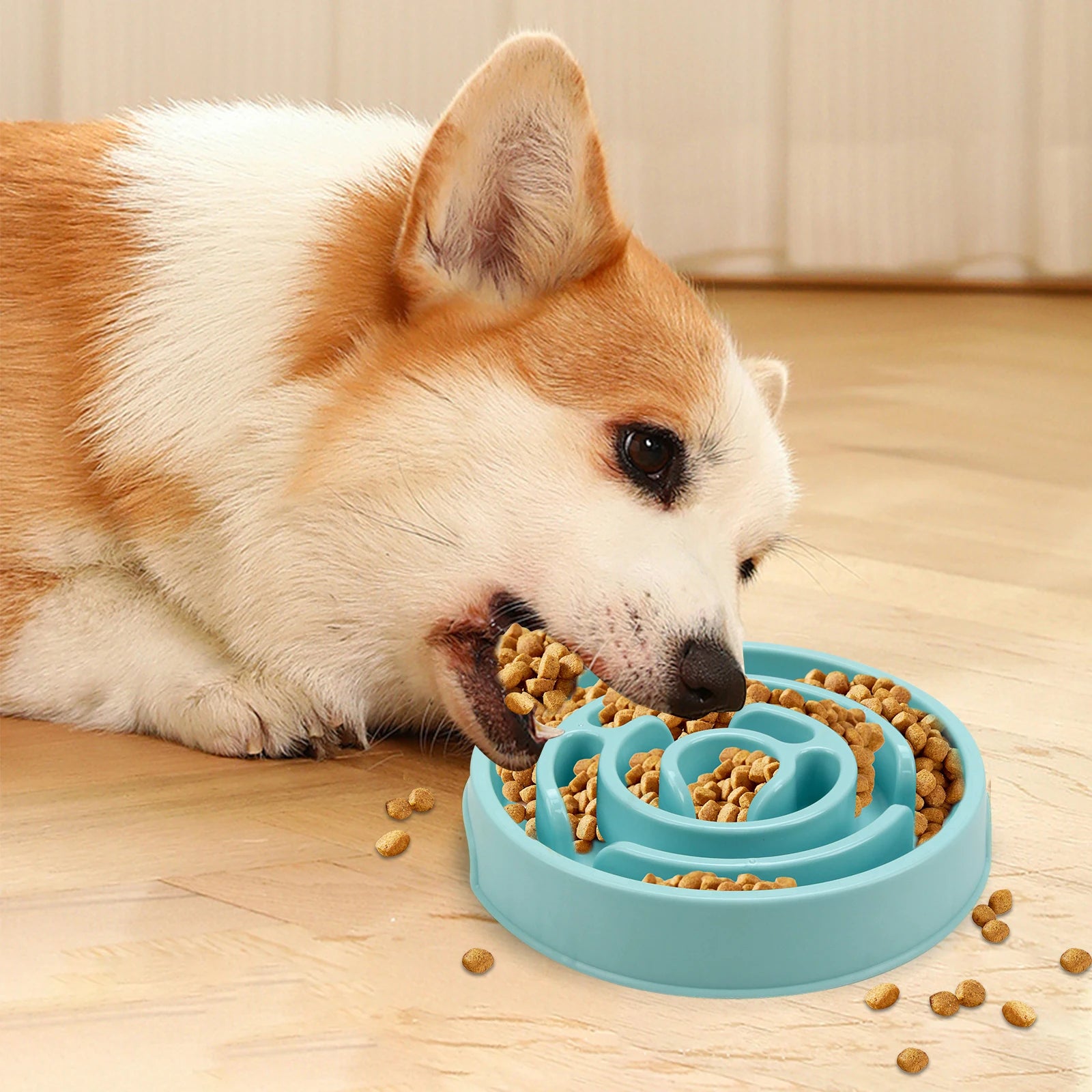 Slow Feed Anti Slip Pet Bowl