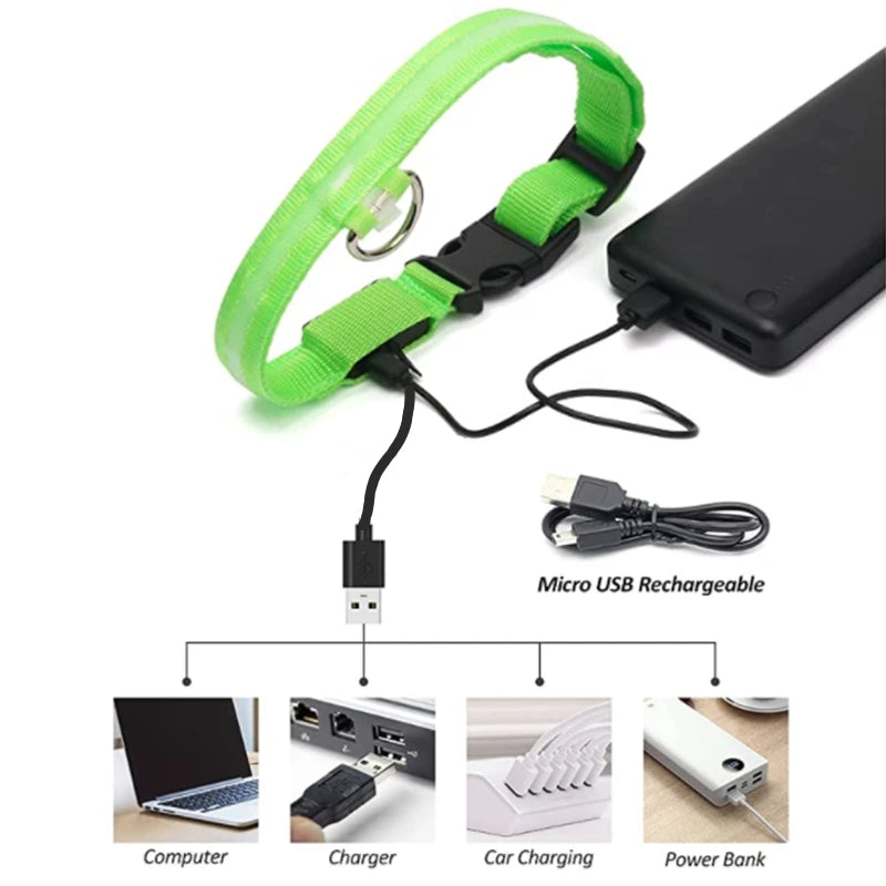 USB Rechargeable LED Glowing Collar for Pets