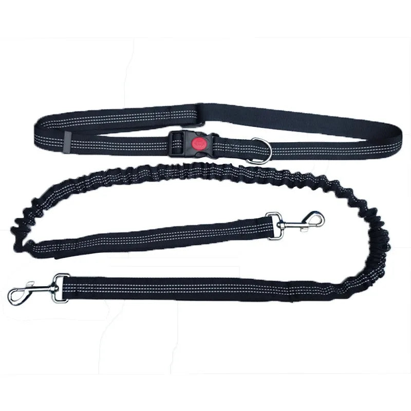 Hands-Free Dog Leash with Waist and Chest Straps