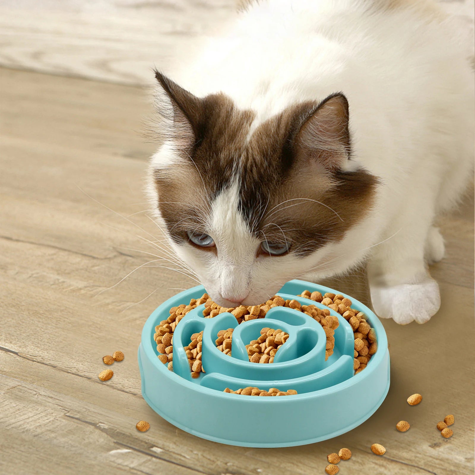 Slow Feed Anti Slip Pet Bowl