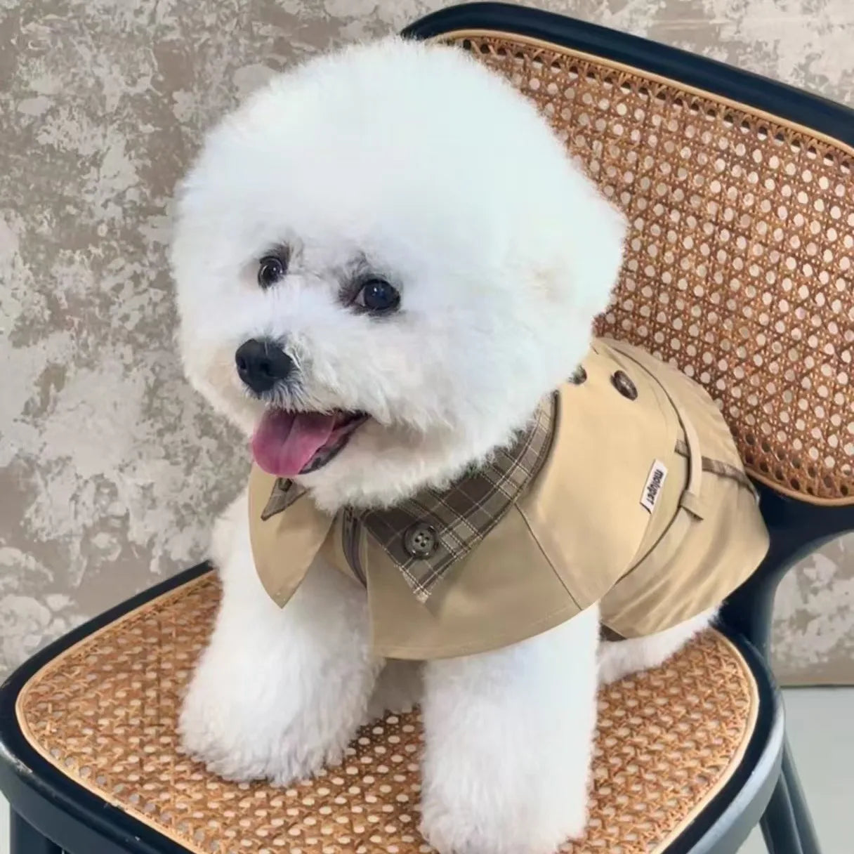 British Style Dog Coat Durable Pet Outerwear Brown Plaid with Adjustable Straps for Cold Weather Puppy Kitten Small Dog Cape