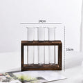 1 Set Creative Hydroponic Plants Container with Wood Frame Transparent Test Tube Vase Bonsai Home Desktop Decor Crafts