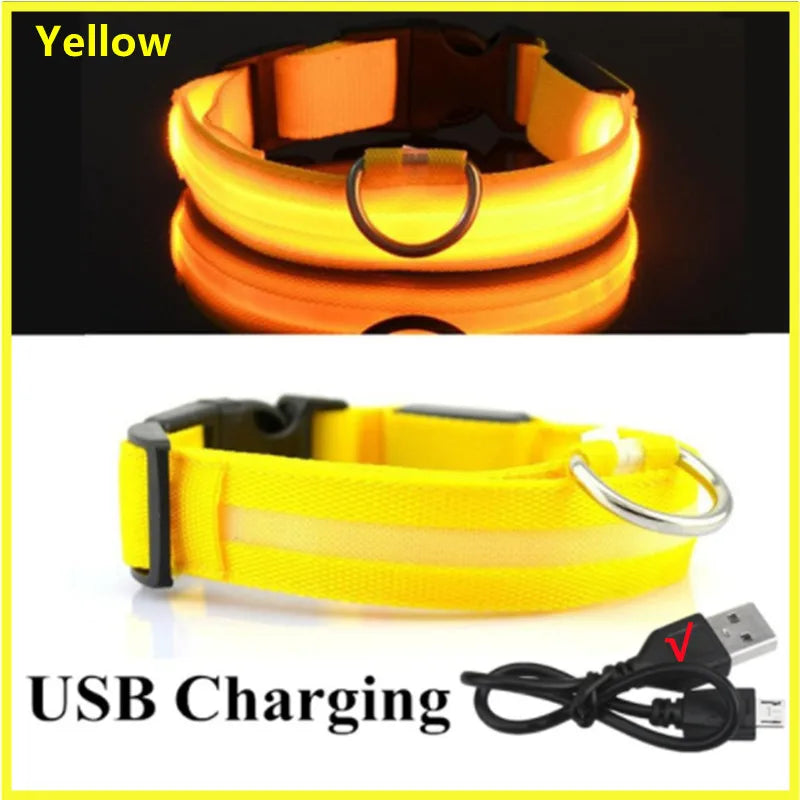 USB Rechargeable LED Glowing Collar for Pets