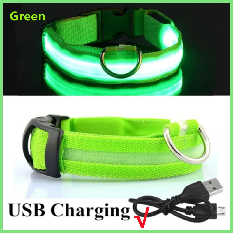 USB Rechargeable LED Glowing Collar for Pets