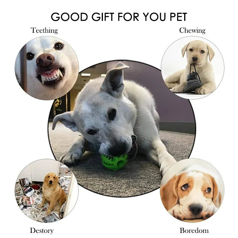Rubber Treat Feeder & Teeth Cleaning Puzzle