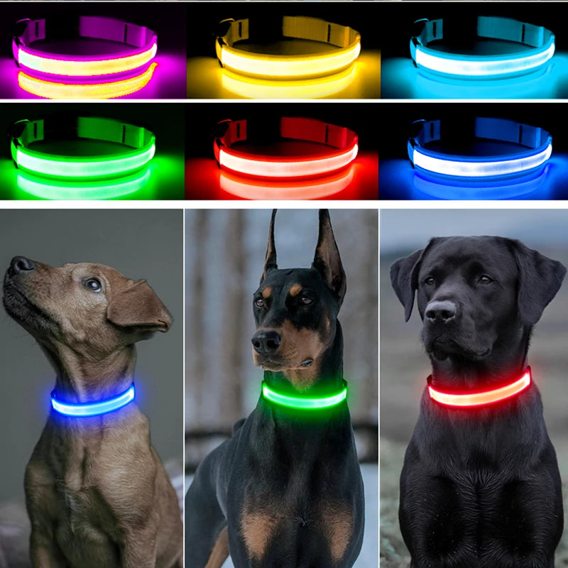 USB Rechargeable LED Glowing Collar for Pets
