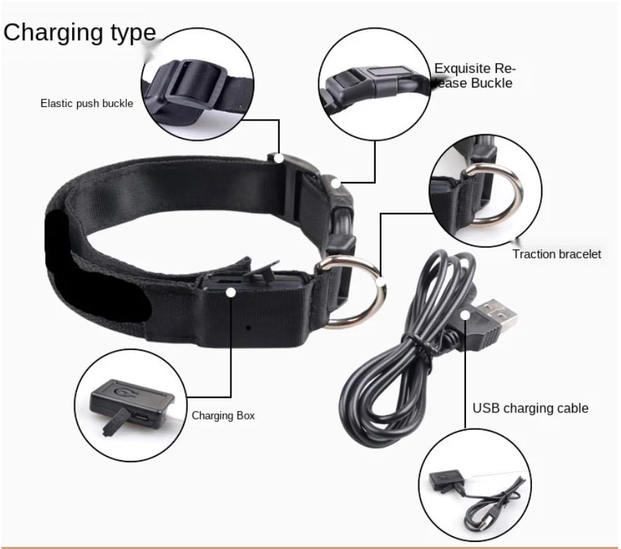 USB Rechargeable LED Glowing Collar for Pets
