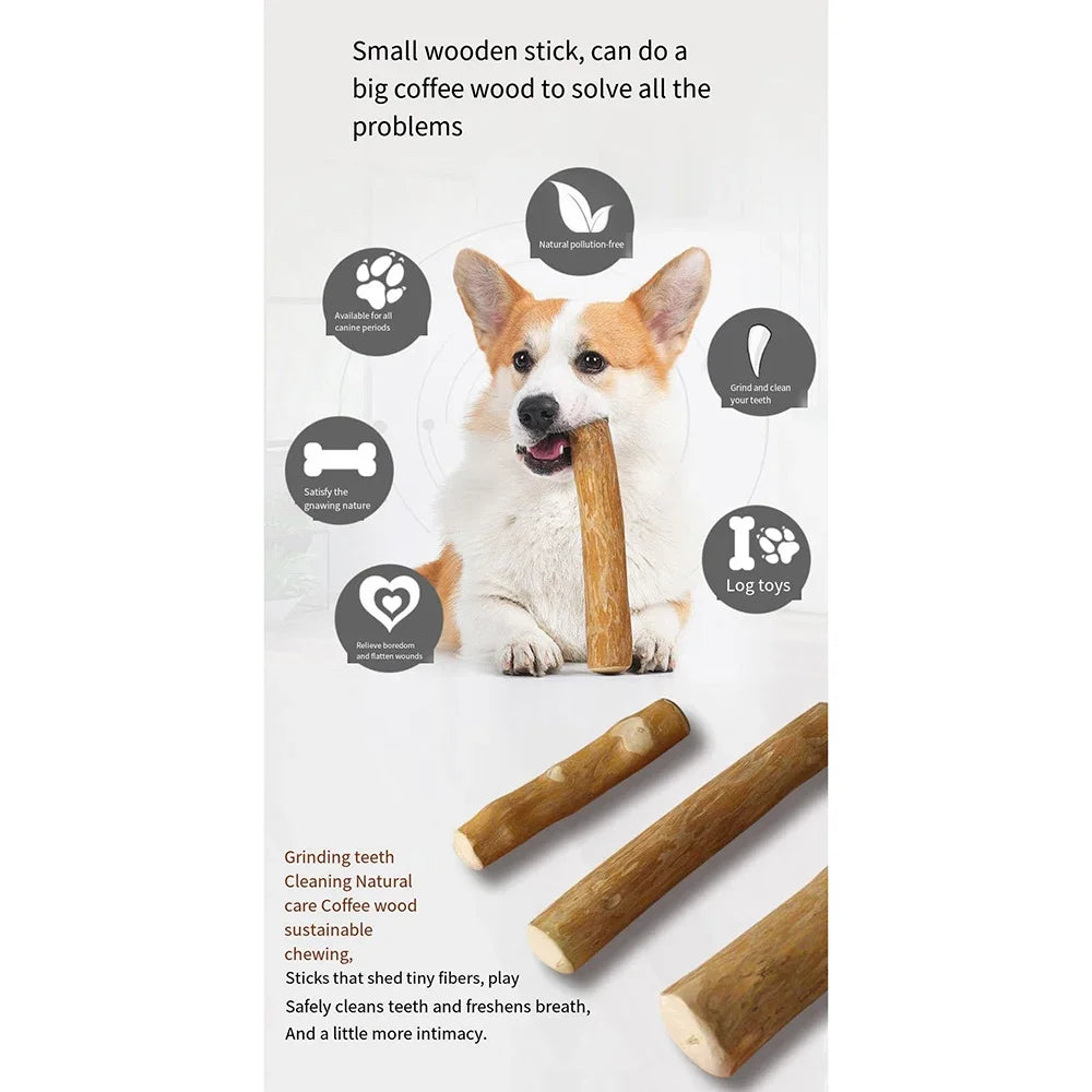 Natural Wood Dog Chew Toys