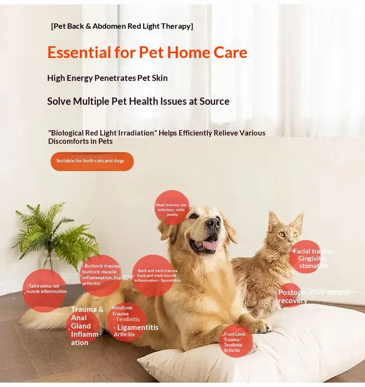 Portable Pet LED Infrared Light Therapy Device, Suitable for Cats and Dogs, Pet Care Home Infrared Red Light Therapy Belt