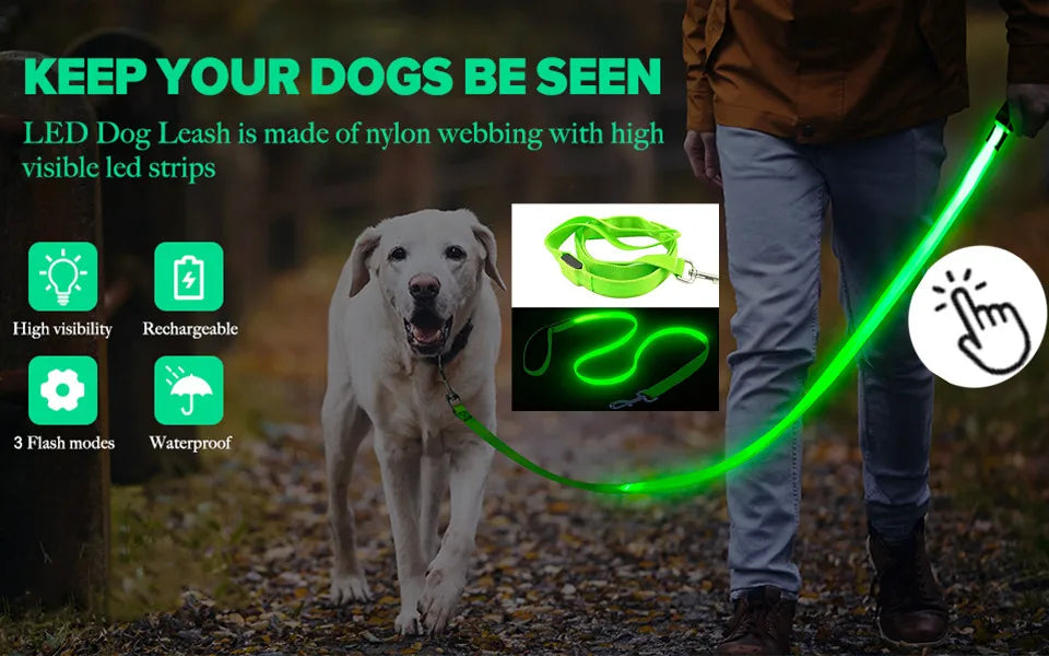 USB Rechargeable LED Glowing Collar for Pets