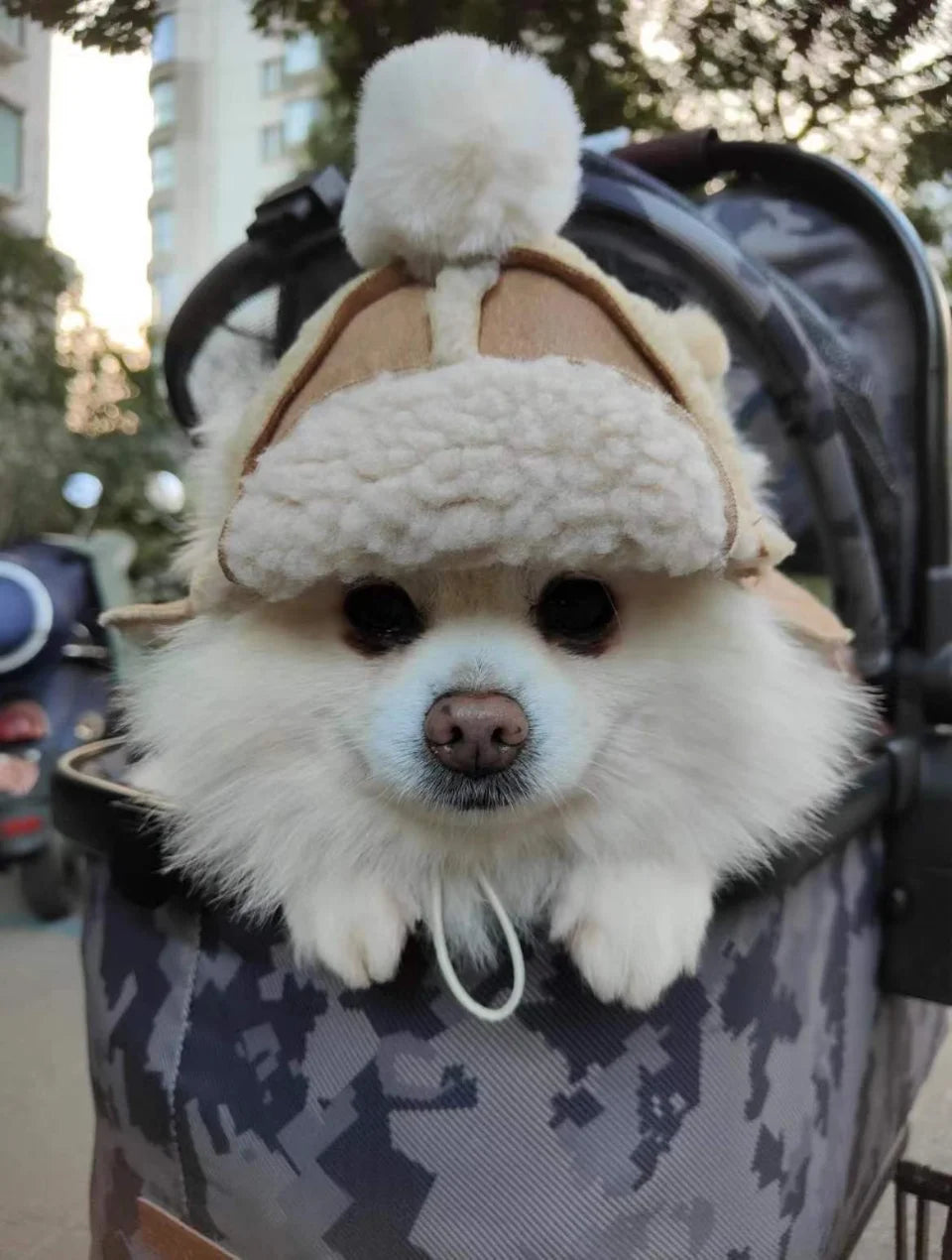 NONOR Pet Warm Hat Ear-popping Funny thickened adjustable Dog hat for Corgi Tedi French Bulldog Accessory Cat And Dog Headdress