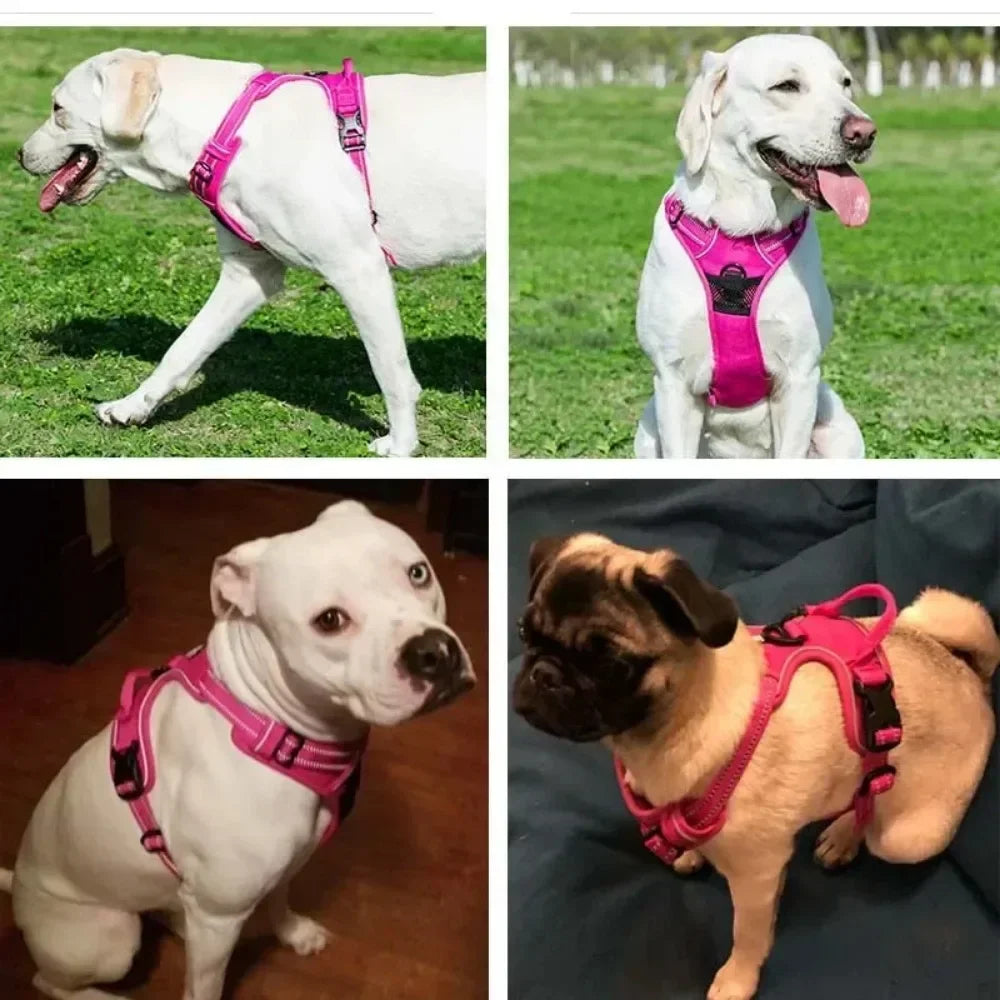 No Pull Dog Harness