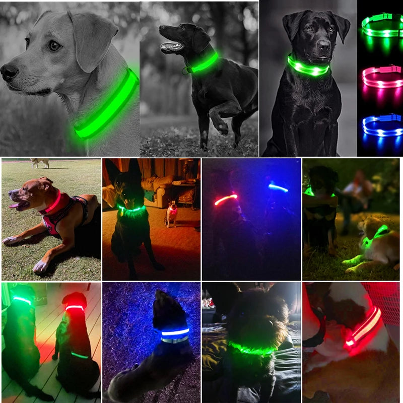USB Rechargeable LED Glowing Collar for Pets