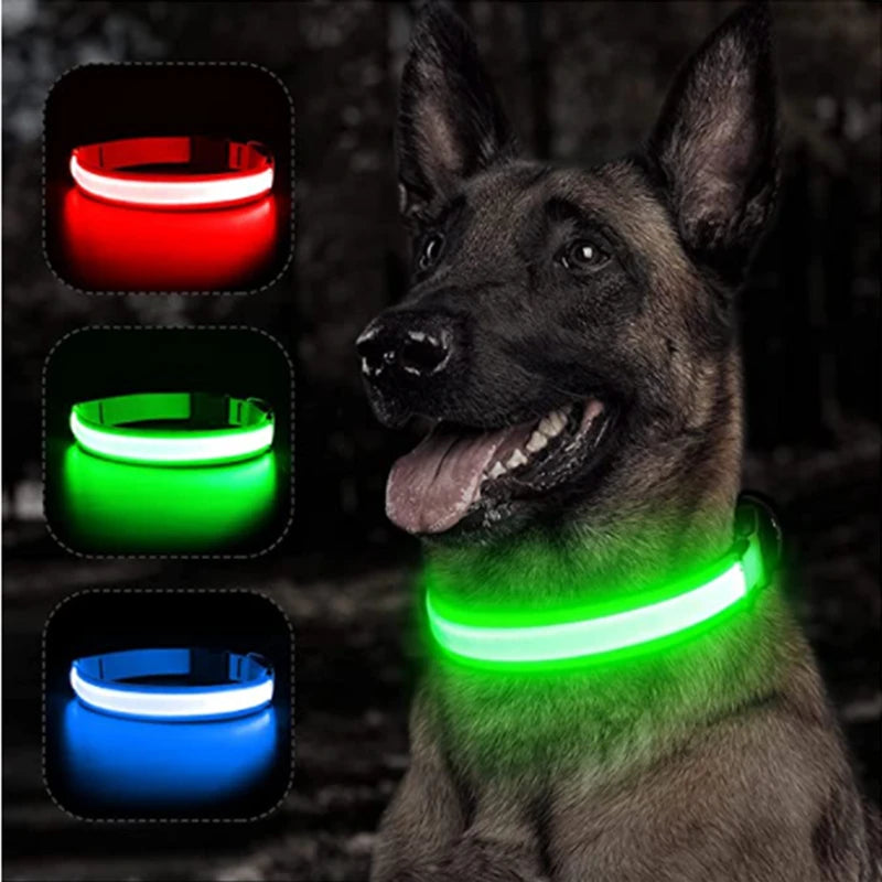 USB Rechargeable LED Glowing Collar for Pets