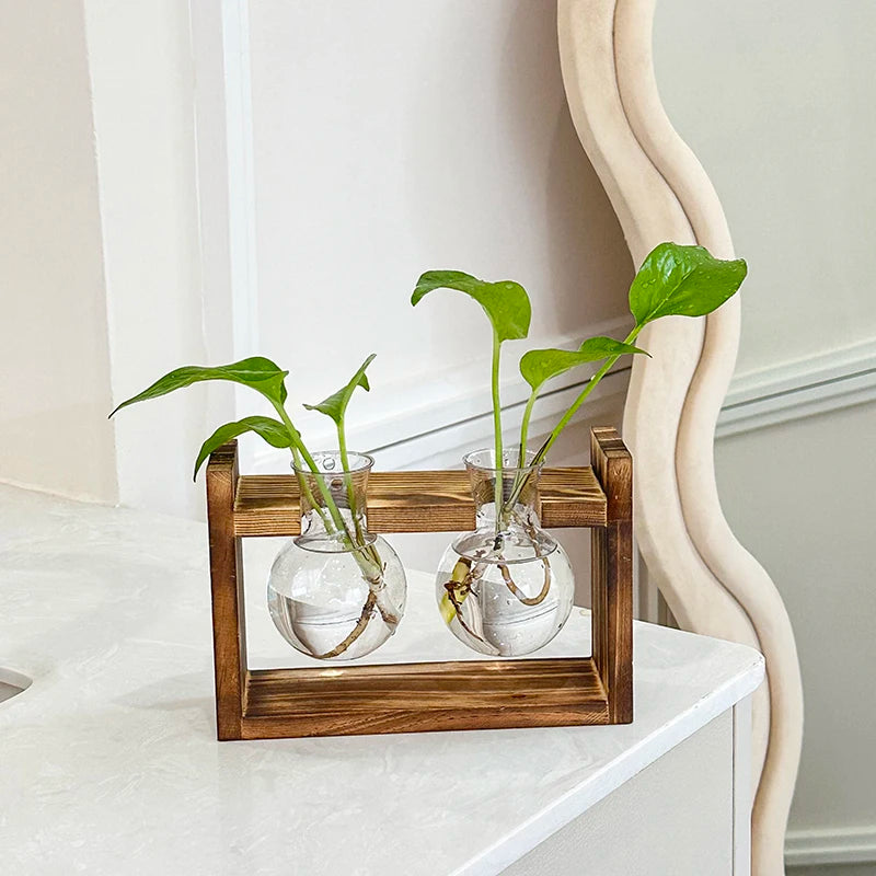 New Bayonet Light Bulb Vase Series Wooden Frame Hydroponic Plant Vase Container Basin Office Desktop Decoration Home Decoration