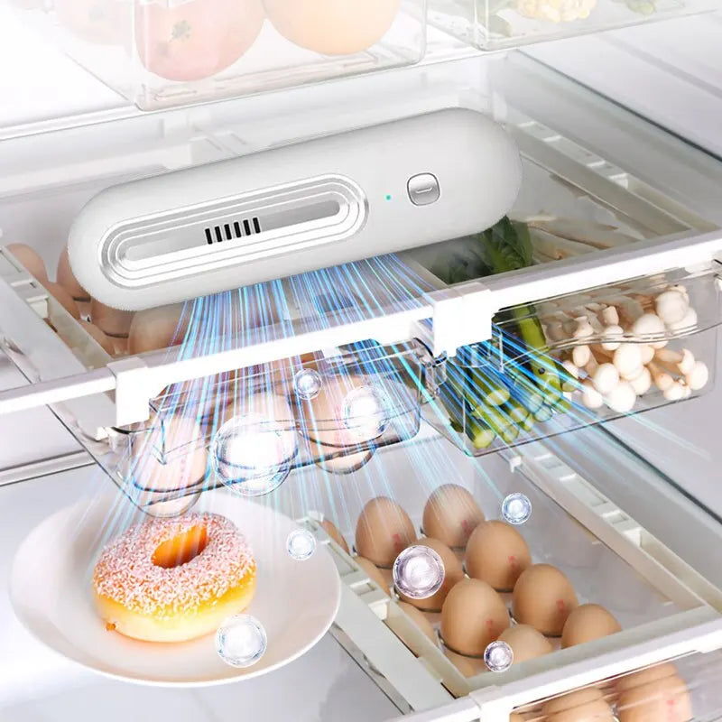 Refrigerator Deodorizer and Air Purifier - Extend Food Shelf Life, Remove Odors (Smoke, Pet, Toilet), for Car and Fridge
