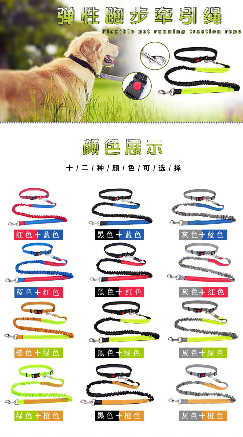 Hands-Free Dog Leash with Waist and Chest Straps