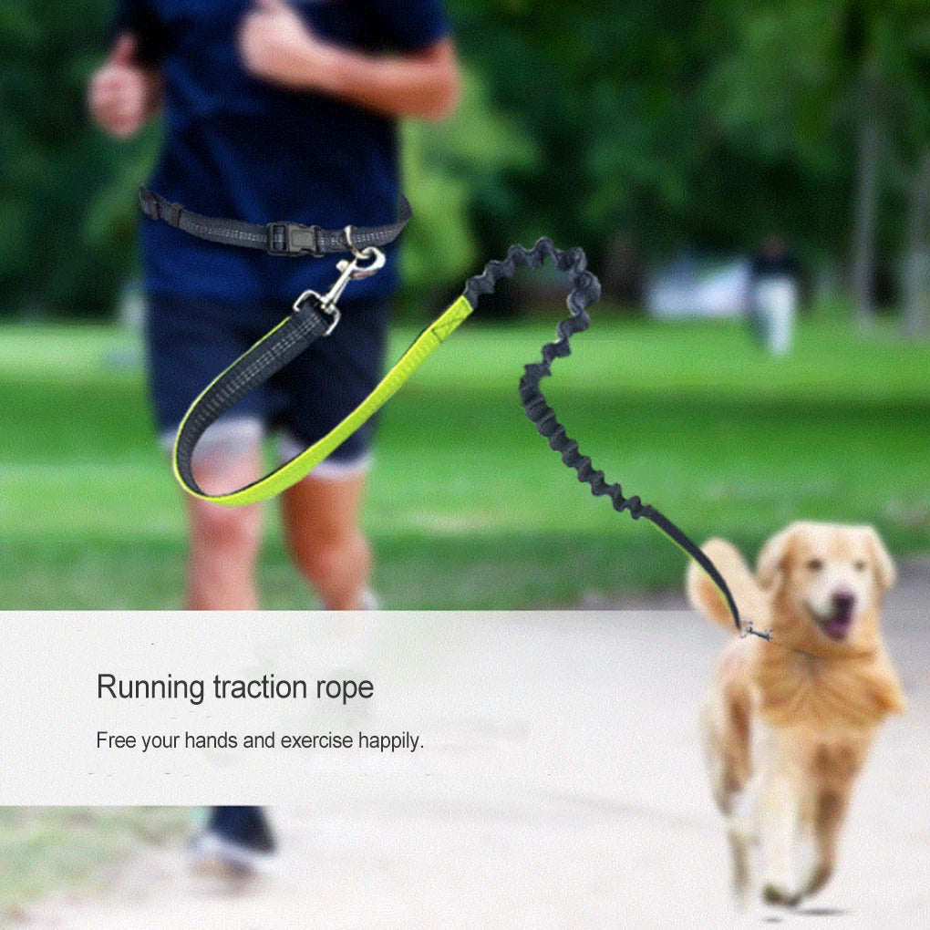 Dog Walking Leash Hands-free Jogging Traction Rope Reflective Leash